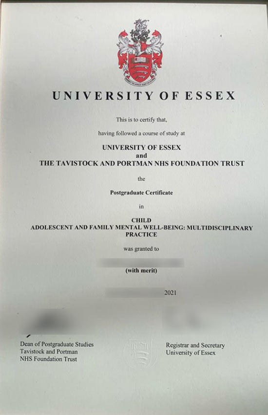 2021 Graduate Certificate, University of Essex