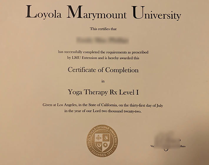 LMU Yoga Therapy Level I Certificate in 2022