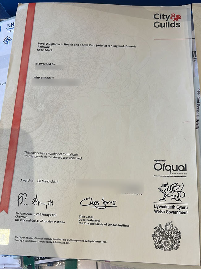 Certificate of Level 2 in Health and Social Care,City and Guilds,2013