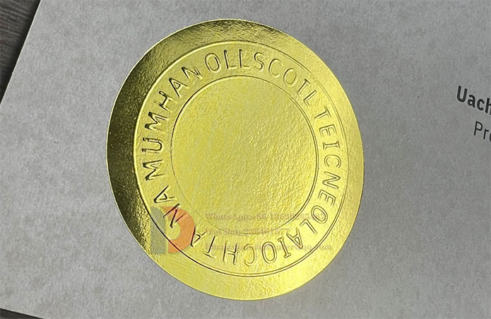 Munster Technological University diploma embossed stamp in gold