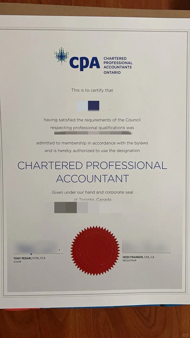 Chartered Professional Accountant Certificate