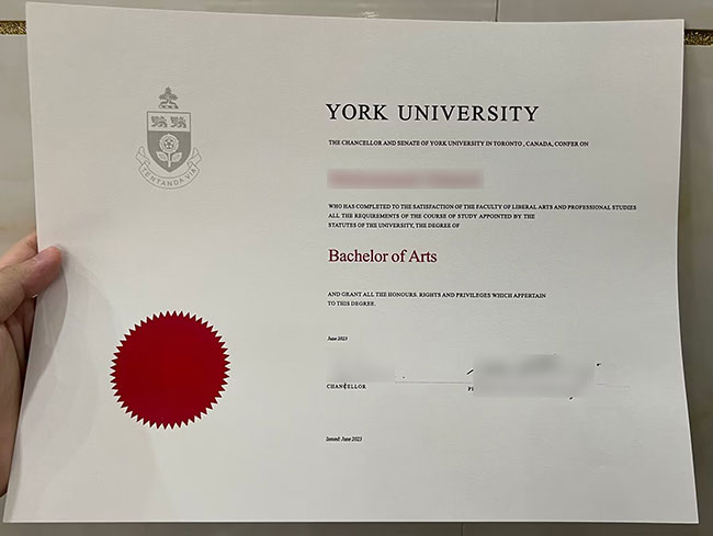 2023 Bachelor of Arts,University of York