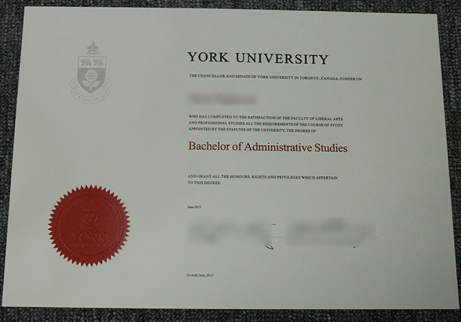 2015 Bachelor of Administration,University of York