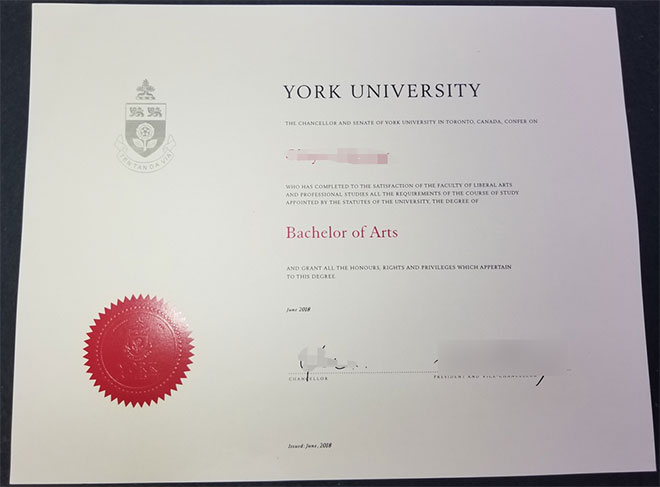 2018 Bachelor of Arts, University of York