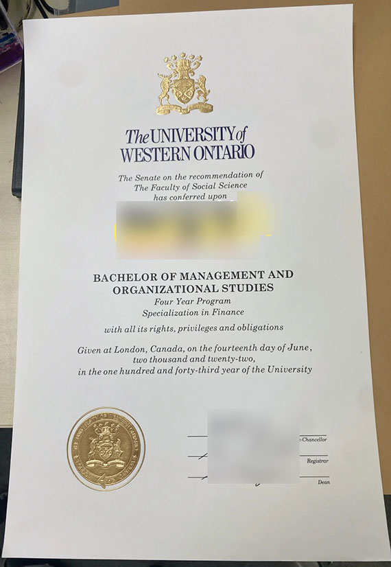 University of Western Ontario 2022 Bachelor of Management and Organization degree sample