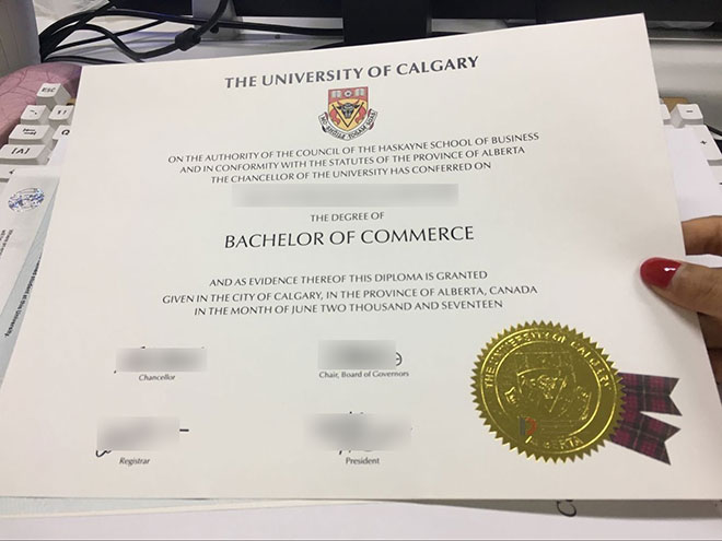 2007 University of Calgary Business degree sample