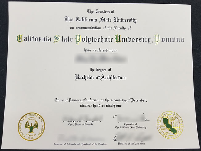 Bachelor of Arts from California Polytechnic State University Pomona Sample