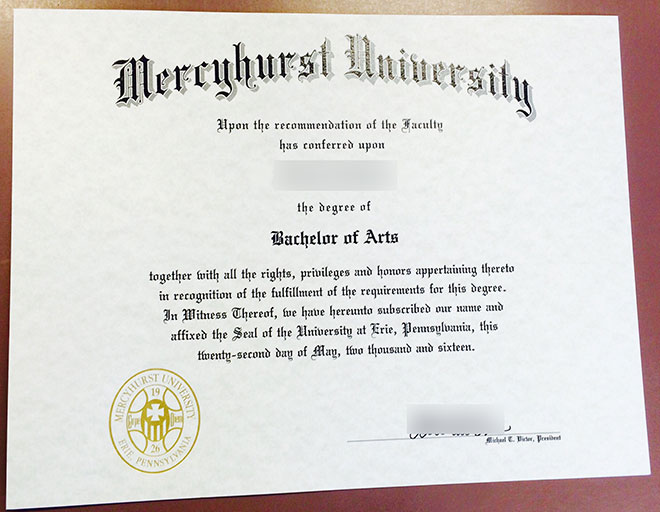 Bachelor of Arts from Mercyhurst University