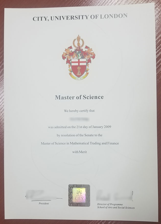 2009 Master of Science degree sample from London Metropolitan University