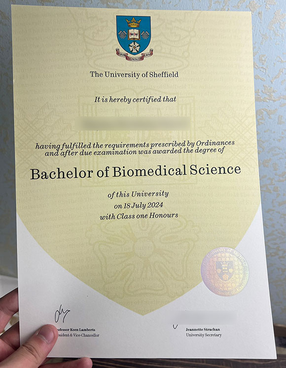 Sample of Bachelor of Biomedical Sciences at the University of Sheffield in 2024