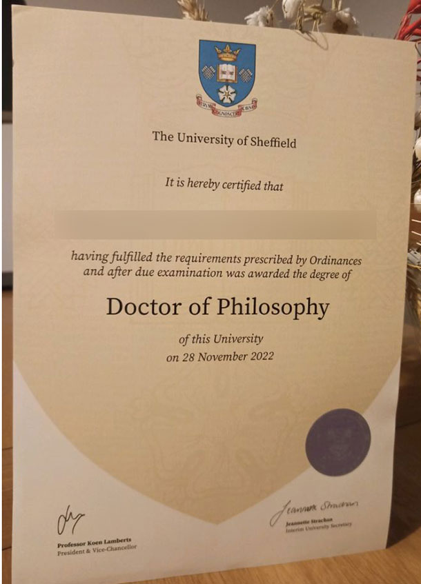 Sample PhD from the University of Sheffield in 2022