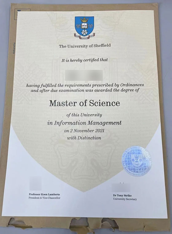 2021 Master of Science degree sample from the University of Sheffield