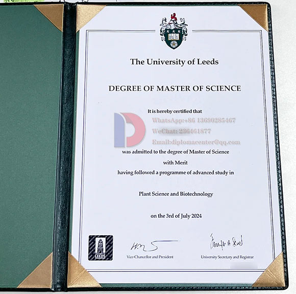 Sample of the University of Leeds degree in 2024