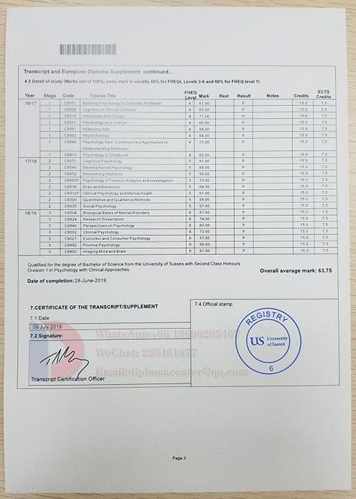 University Of Sussex Transcript Sample