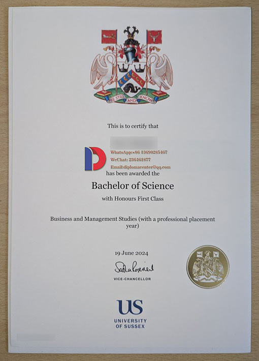 A sample Of the 2024 University Of Sussex degree