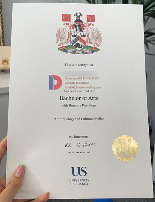 Sample Of Bachelor of Arts degree from the University Of Sussex in 2021