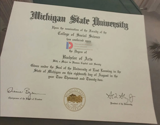 Degree samples of Michigan State University in 2022