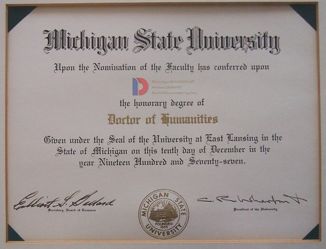 Degree sample from Michigan State University 