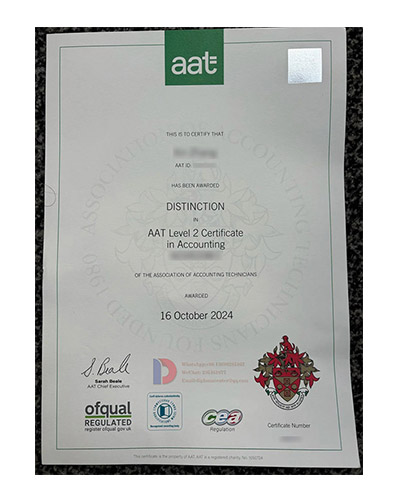 Which website can I purchase the AAT accounting dip