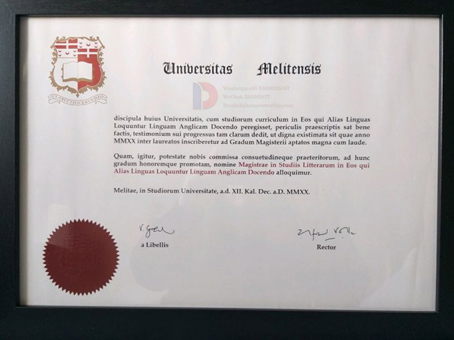 University of Malta degree Sample
