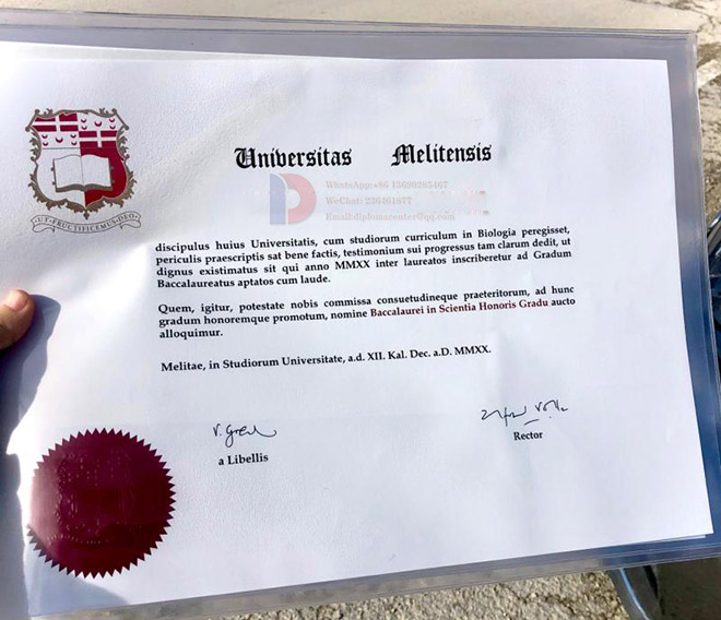 University of Malta degree Certificate Sample