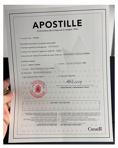 What is a Hague certification?Example of Hague Cert